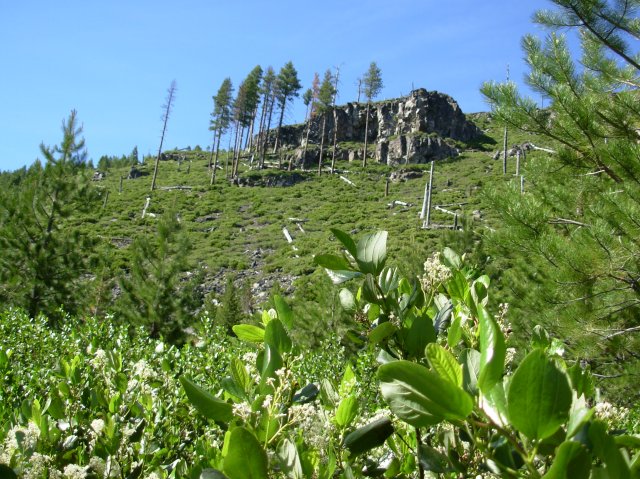 Summer '06 Sunriver 336 